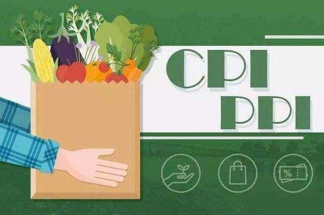 ͳƾֳ˾ϯͳʦ20234·CPIPPI
