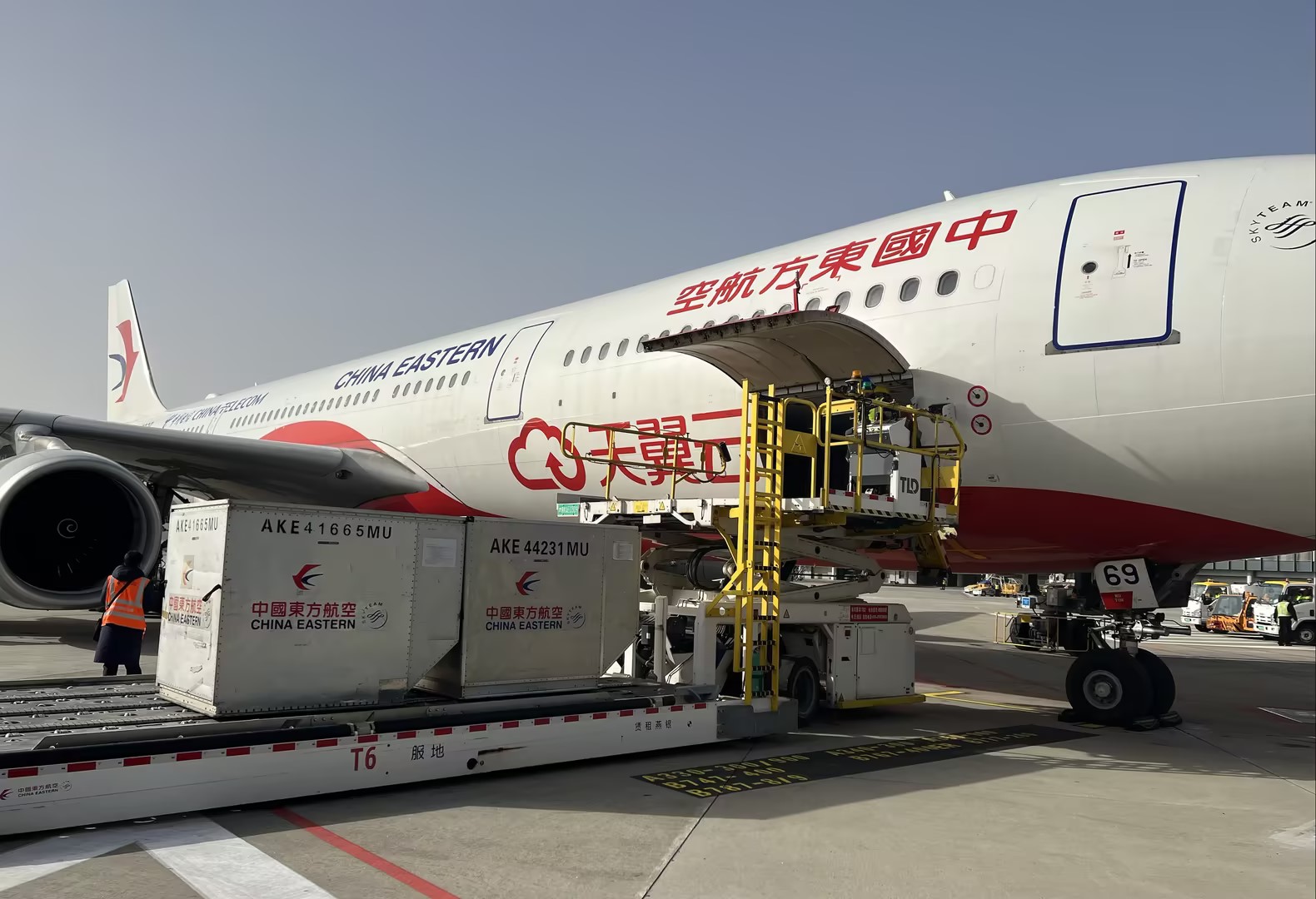 �������������ֹ�˾˳����ɱ�������˹�����׺����ﱣ������