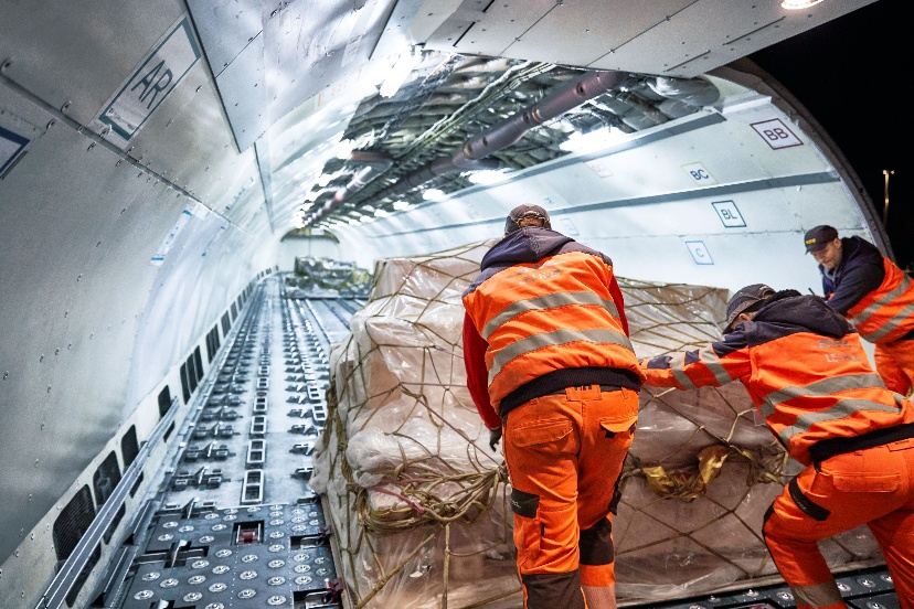 �����й���ҵ��Ч����������DHLȫ����������Ϻ�-����ֱ͢���º��ߣ����������������ʱЧ