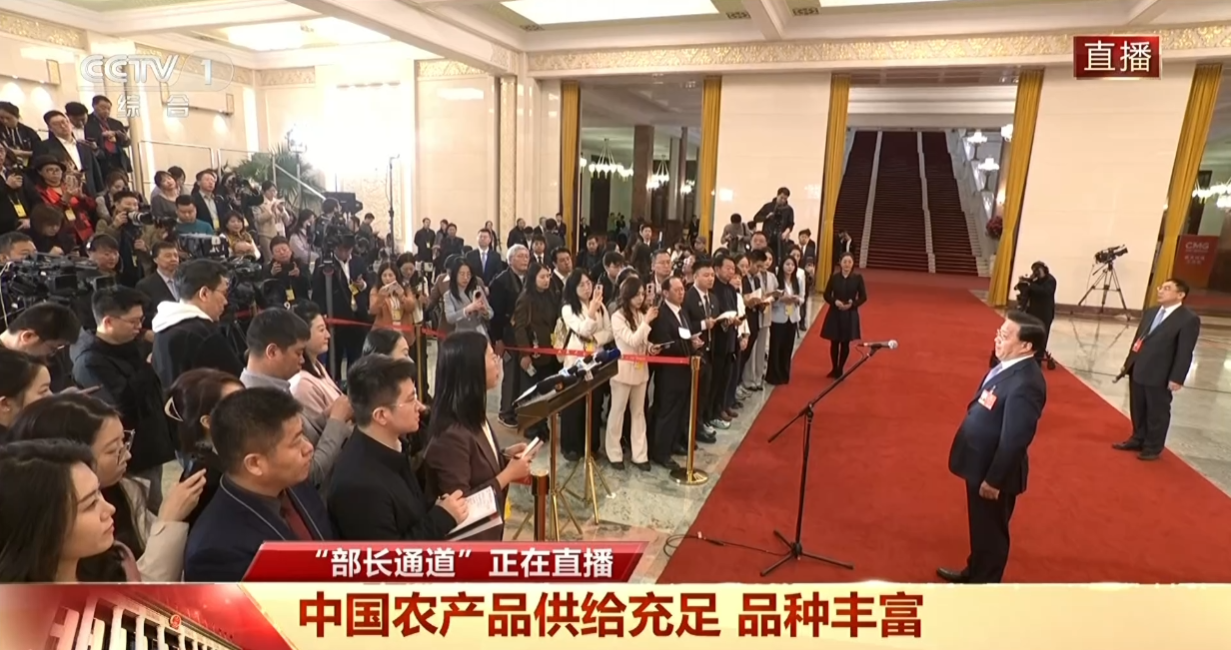 ���ִ�����������ȫ�������ֳ�