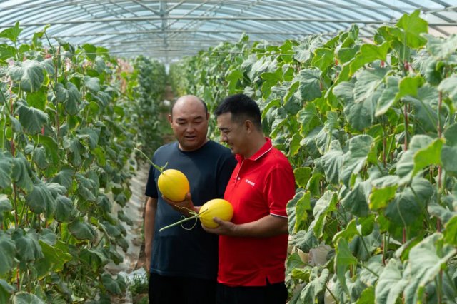 无人车下乡,快递助农有了新样本
