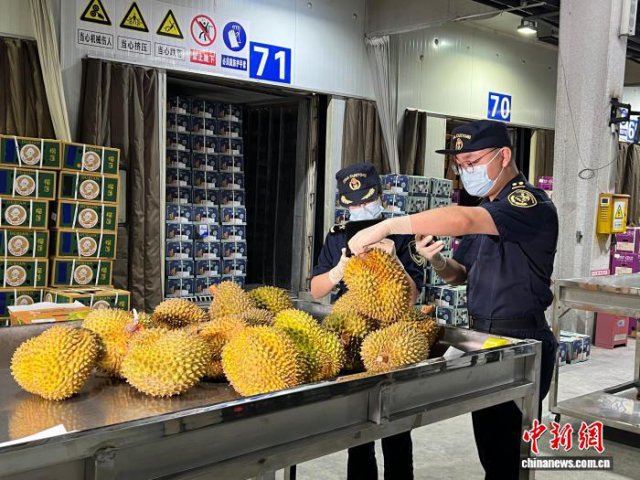 广西首票柬埔寨进口鲜食榴莲从友谊关口岸入境