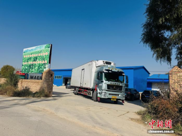 青海冷凉蔬菜首次出口越南