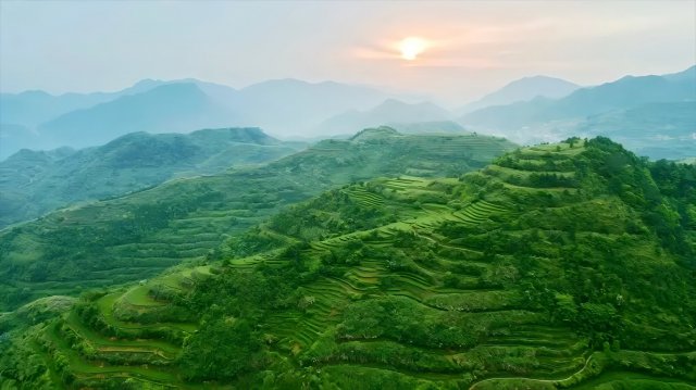 ���򾭼û���������͹�� ��ɫ��ҵ��Ⱥ��Ϊ��չ������