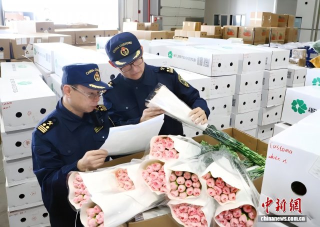 2025���������л�����12.2��Ԫ ����7��ȫ����һ