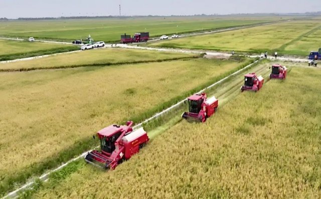 2026������һ���ļ������������ʵʩ��ʳ��ͨ������Ч��Ŀ��